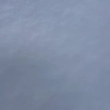 Profile image of 김태현