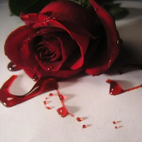 splatoon의 Silvia Rubellite