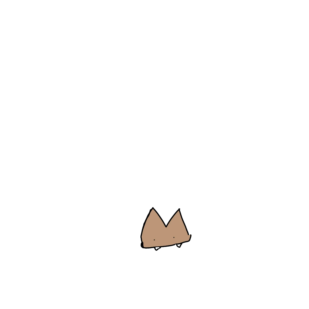 고라니