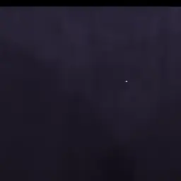 DINOOOO의 홍지슈