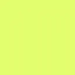 Profile image of 伊波ライ