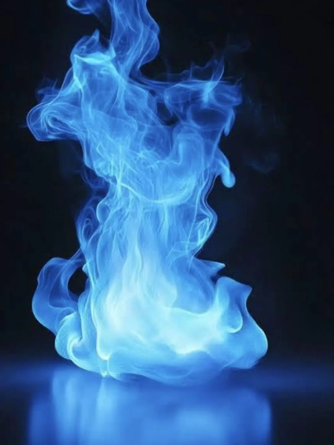 BrashTray6623의 荼毘/🔥🔵