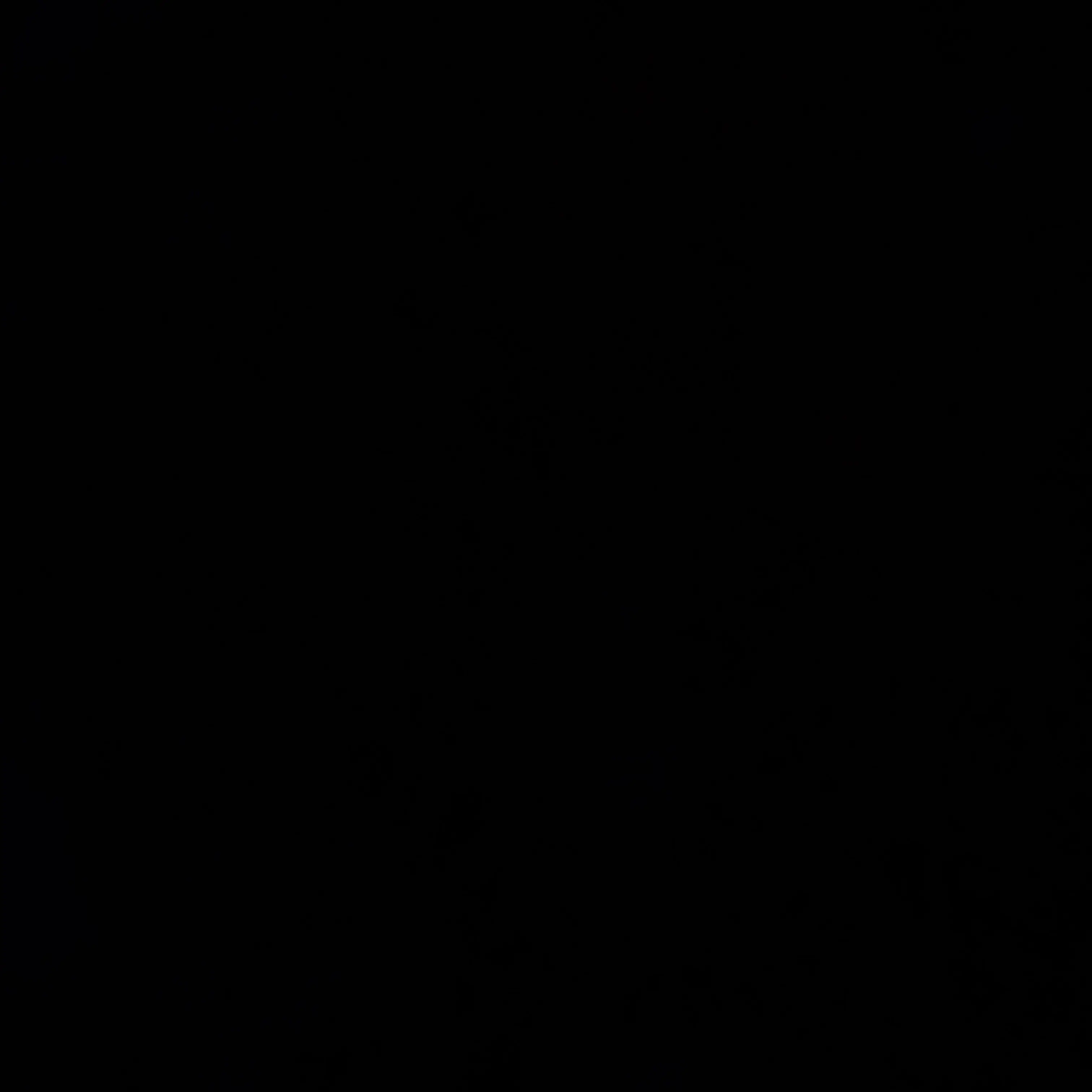 ____..21의 김동현