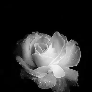 Profile image of 한지성