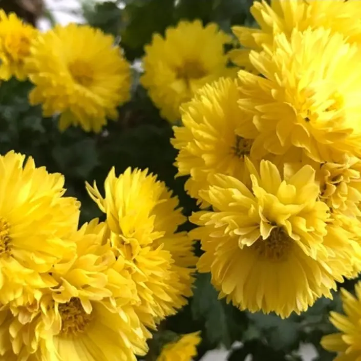 Kik2013i0410의 片思い.