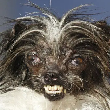 Profile image of 김여우