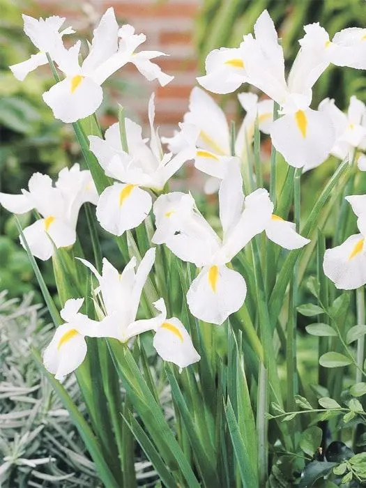 Kemuri_777_의 間に合った