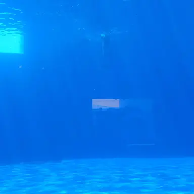 Profile image of つき