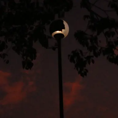 Profile image of 桜音