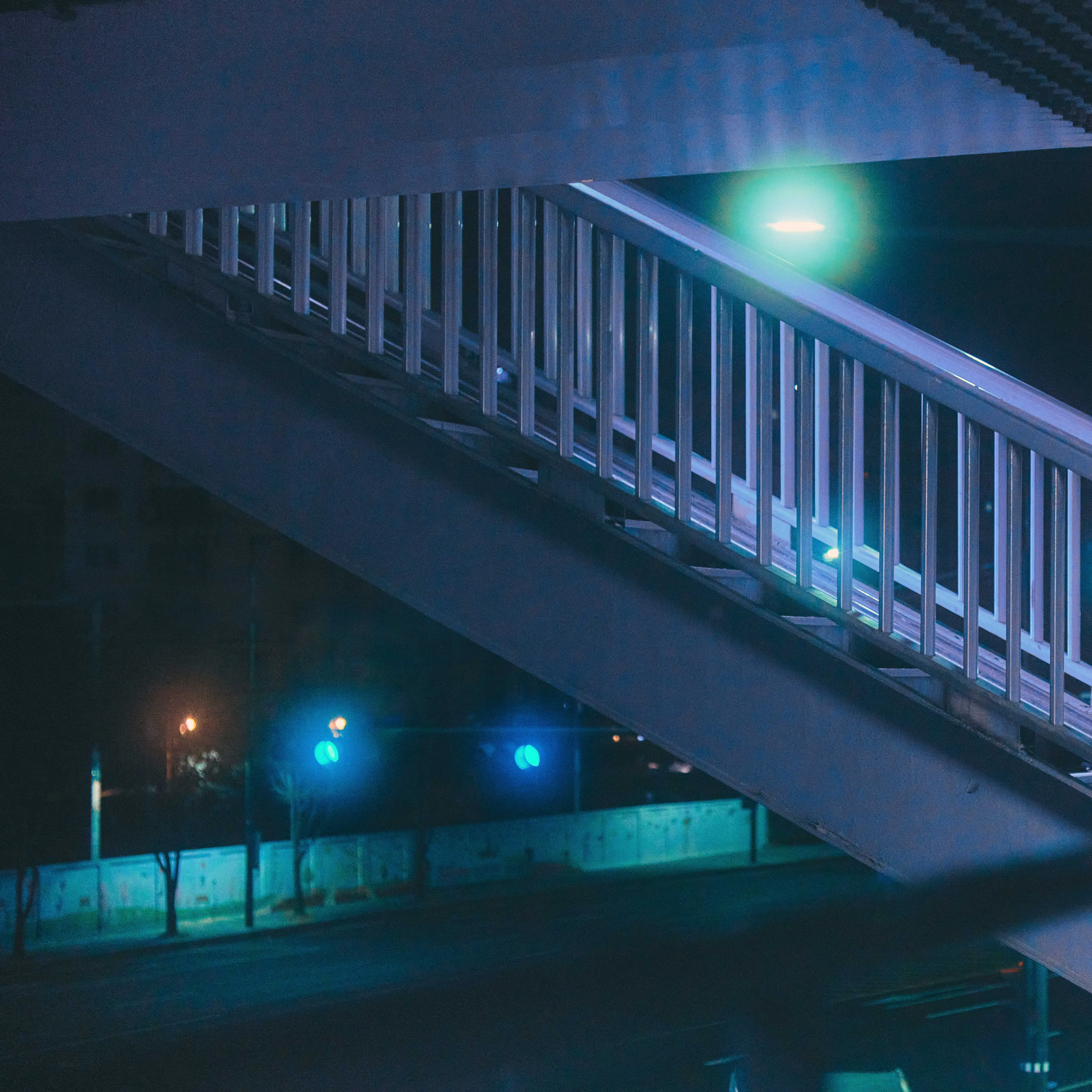 0yvxt_의 T조직