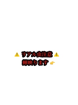 Profile image of 蝉丸 夏生