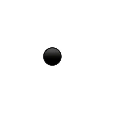 Profile image of コトル