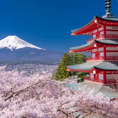 Profile image of 日本