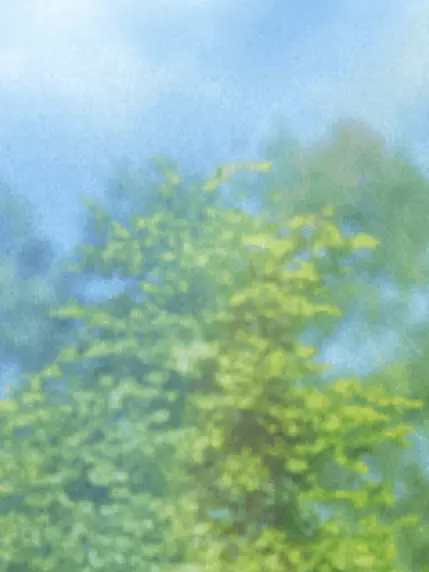 youdone의 마음데로 해보세요
