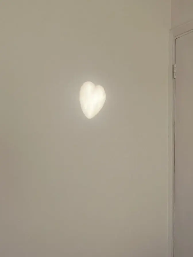 Kuwaog의 기묘한 3각 동거