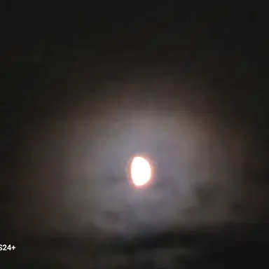 Profile image of 비럭키