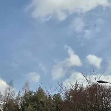 Profile image of 꼬예유