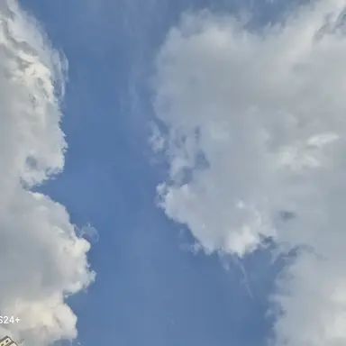 Profile image of 짱돌