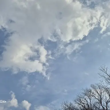 Profile image of 십비