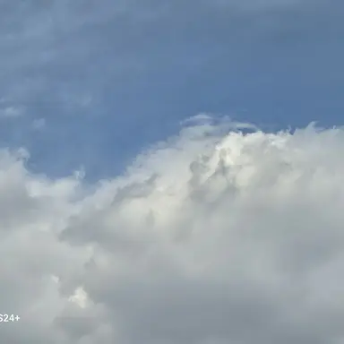 Profile image of 퀸톨