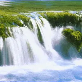 Profile image of 방광