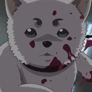 Profile image of 사다하루