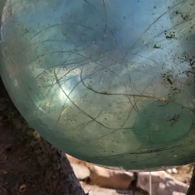 Profile image of 장영