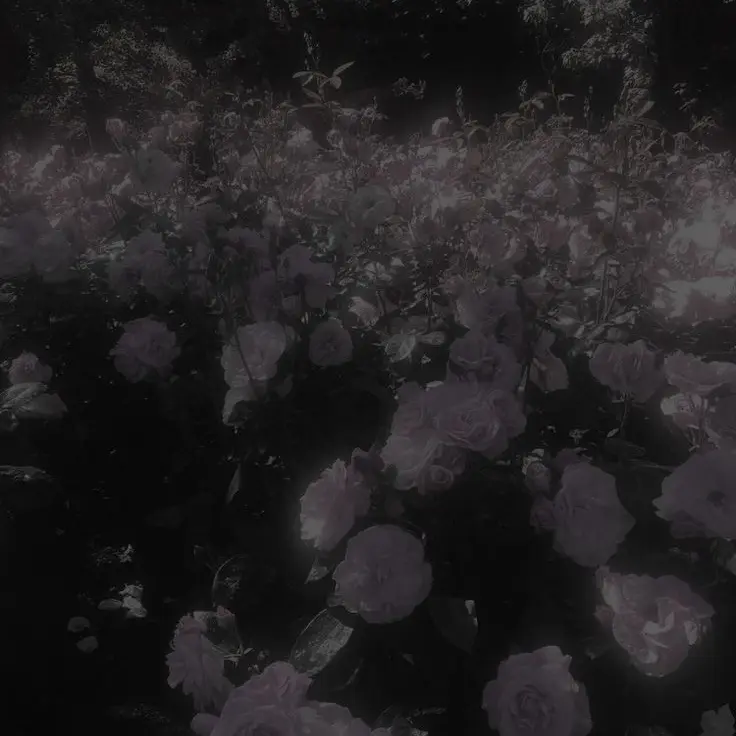may0108의 애주르