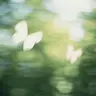 Profile image of 서장금