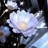 Profile image of 윤여나