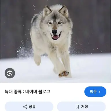 Profile image of 늑대