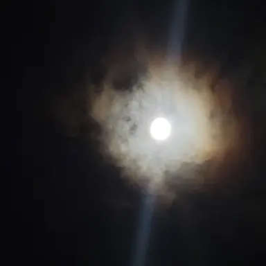 Profile image of 눈