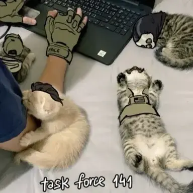 Profile image of TF-141 cats