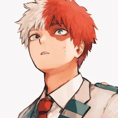 Profile image of Shoto Todoroki