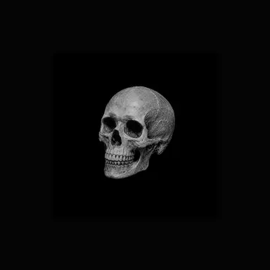 Profile image of リアンド