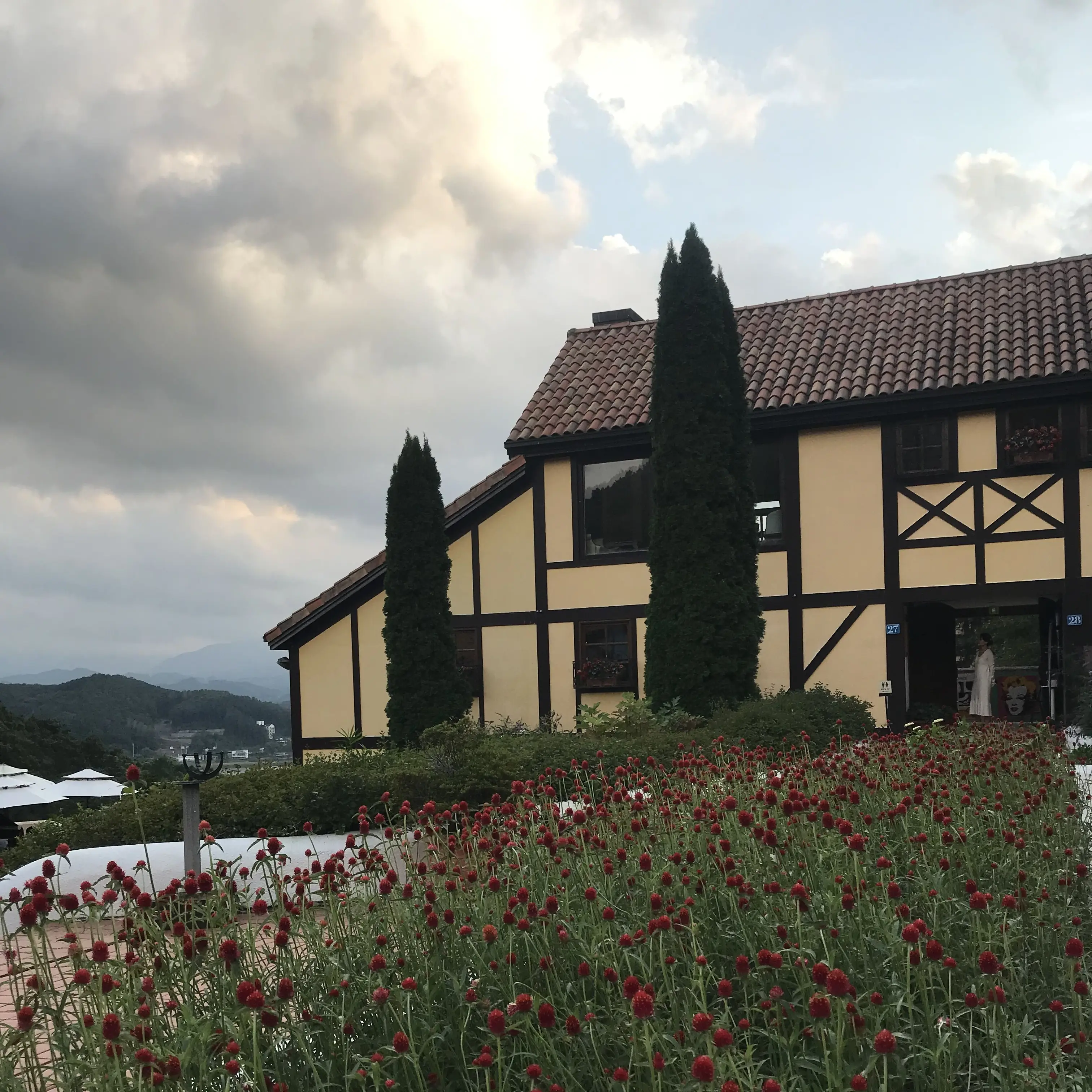 SOYU0690의 너구리