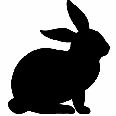 Profile image of Owner
