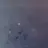 쿠킹덤 킹더엄