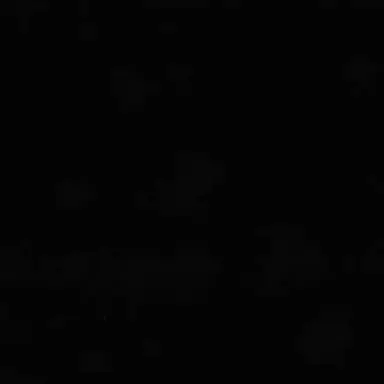 Profile image of クロ