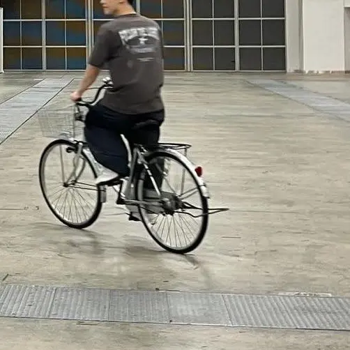 LeanerQuote2166의 チャン