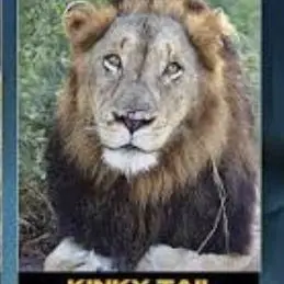 Profile image of Kinky.tail