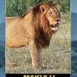 Profile image of Makulu