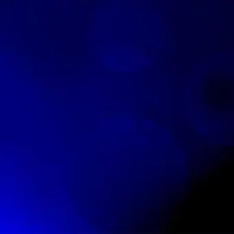 Profile image of らっだぁ