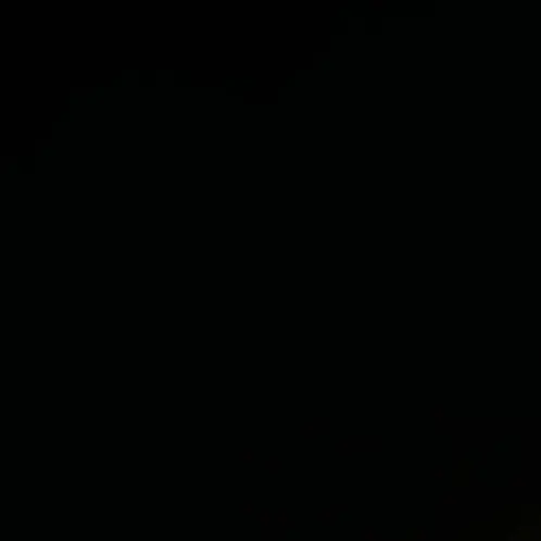 FrailDryer3598의 ゴンホ　義理兄