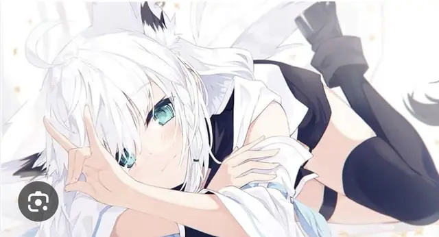 Profile image of フブキ