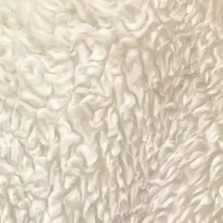 Profile image of 우현진