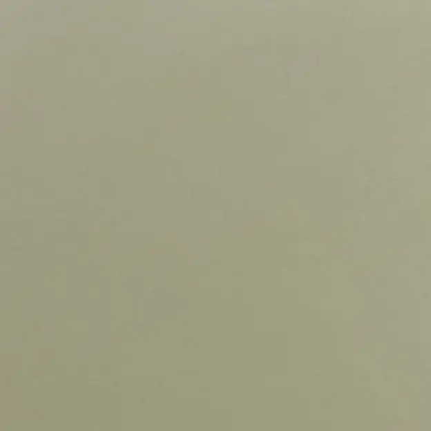 BlackSwamp2776의 다정