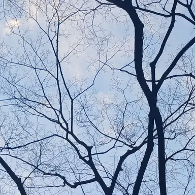 Profile image of 고한율