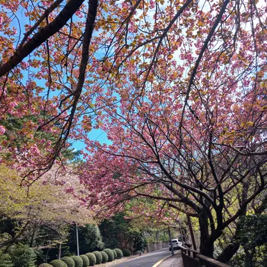 Profile image of リョジン