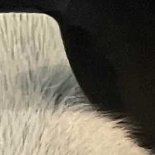 Profile image of 픽셀리 학교